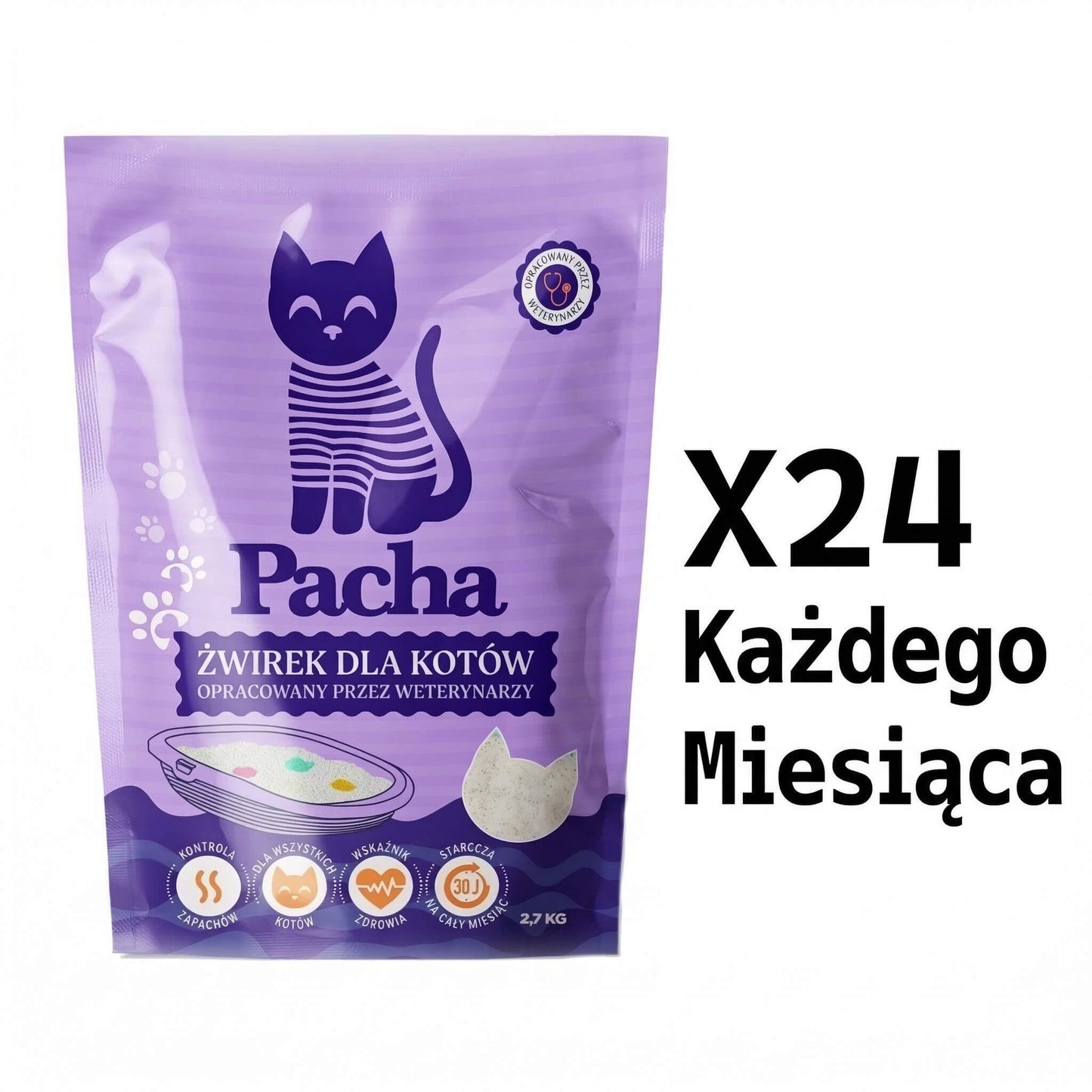 24 koty