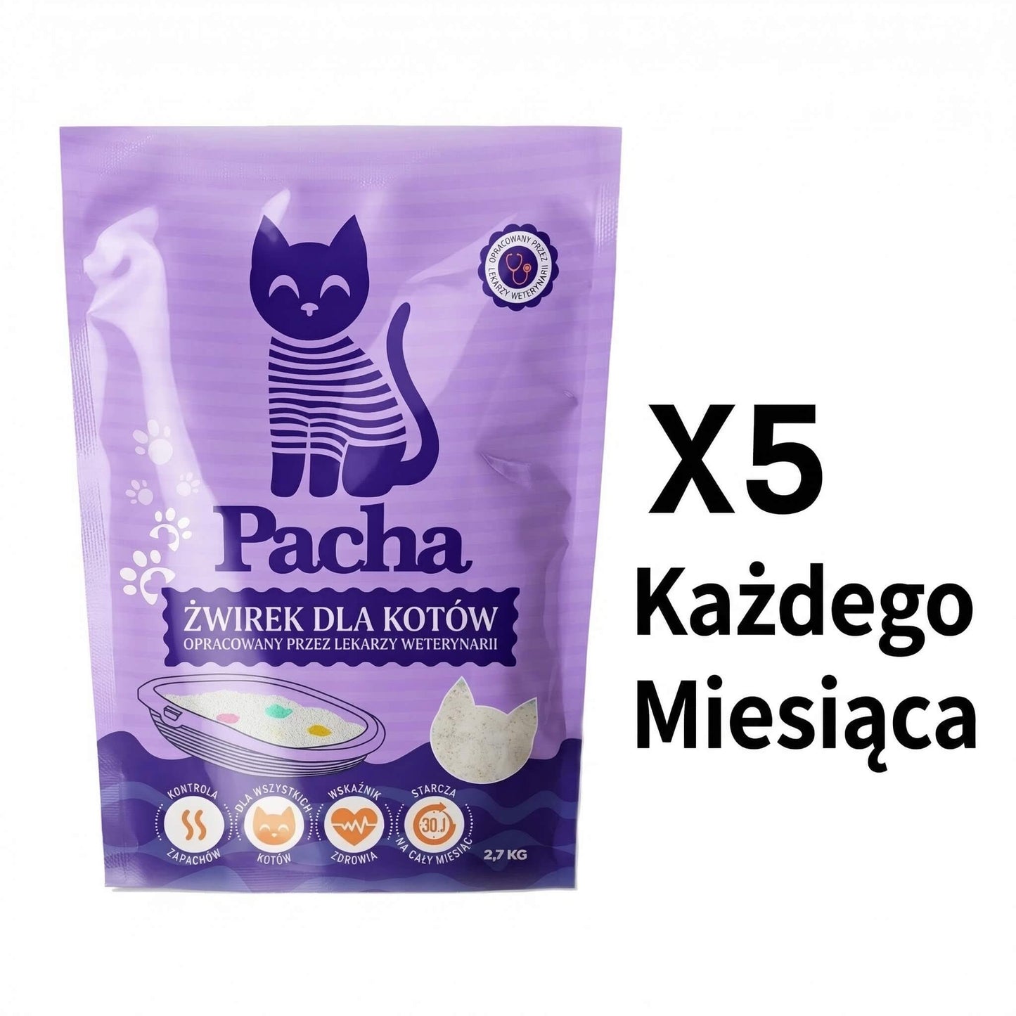 5 kotów