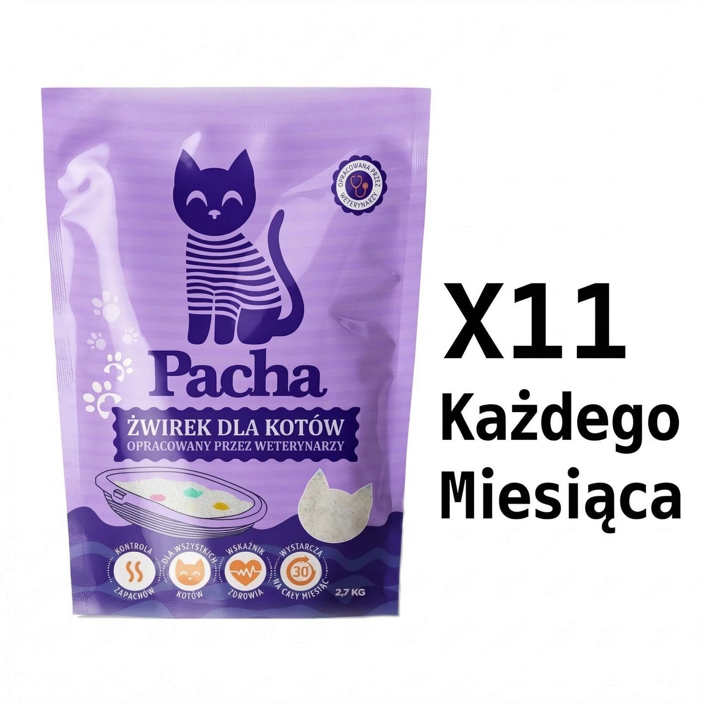 11 kotów