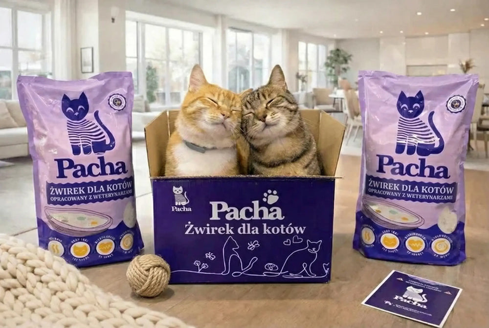 Żwirek Pacha™