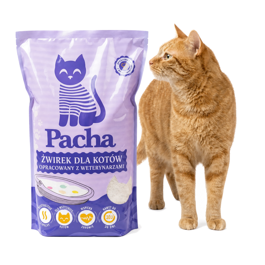 1 worek Pacha